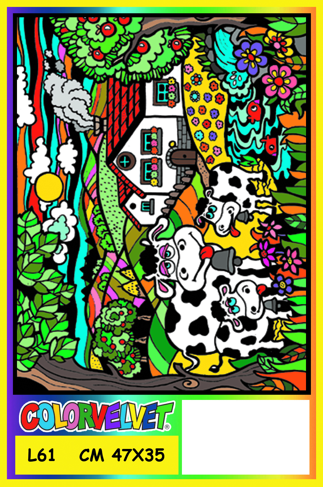 L61 NAIF COWS - Image 1
