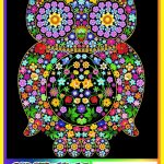 OWL FLOWERS