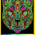 CAT FACE