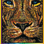 LION FACE