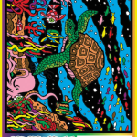 AQUARIUS TURTLE