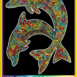 HAWAII DOLPHINS