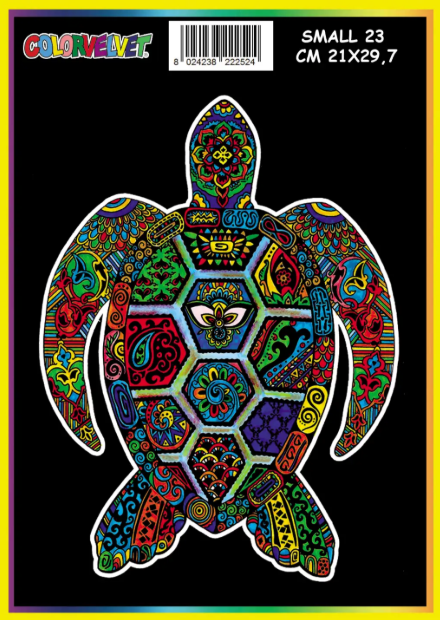 Screenshot 2026-10-23 132744 TURTLE - Image 1
